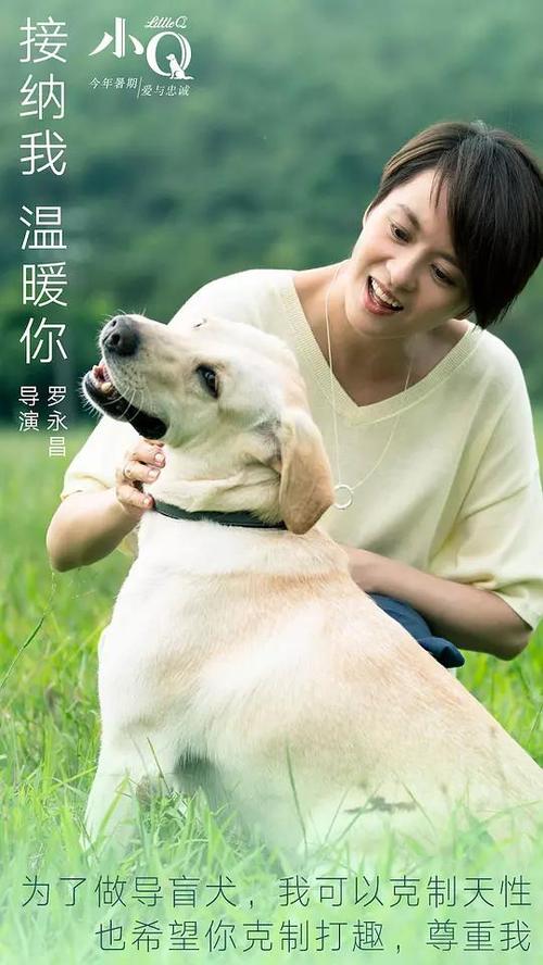 定制高仿英语等级证